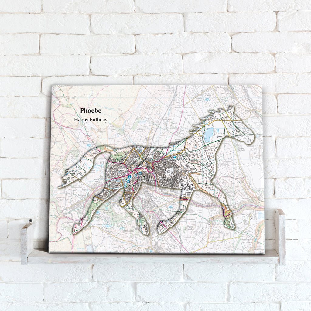 Personalised Horse Map