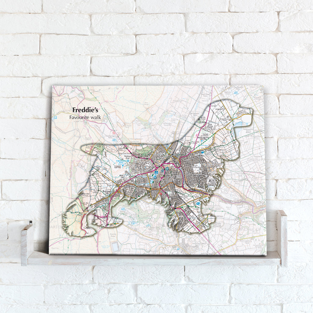 Personalised Spaniel Map