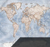 Map Wallpaper - Political World Map - Discovery Wallpapers and Murals- Love Maps On...