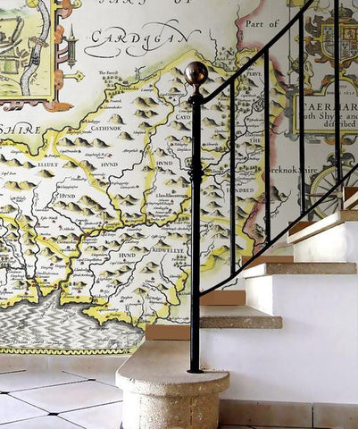 Vintage County Maps