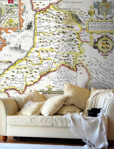 Map Wallpaper - Vintage County Map - Cardiganshire