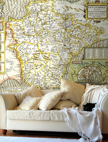 Map Wallpaper - Vintage County Map - Devon