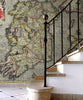 Map Wallpaper - Vintage County Map - Ireland - Love Maps On... - 2
