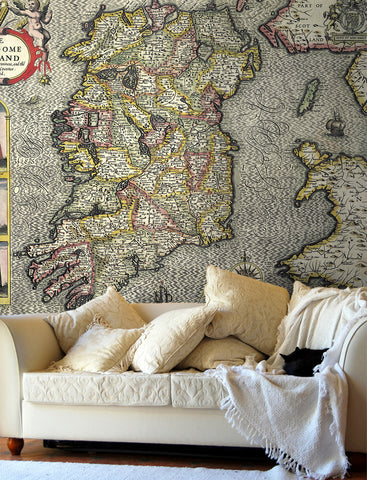 Map Wallpaper - Vintage County Map - Ireland