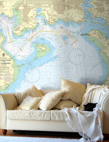 Nautical Chart Wallpaper - 1901 Smeaton Pass and The Narrows