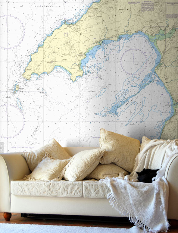 Nautical Chart Wallpaper - 1971 Cardigan Bay Northern Part