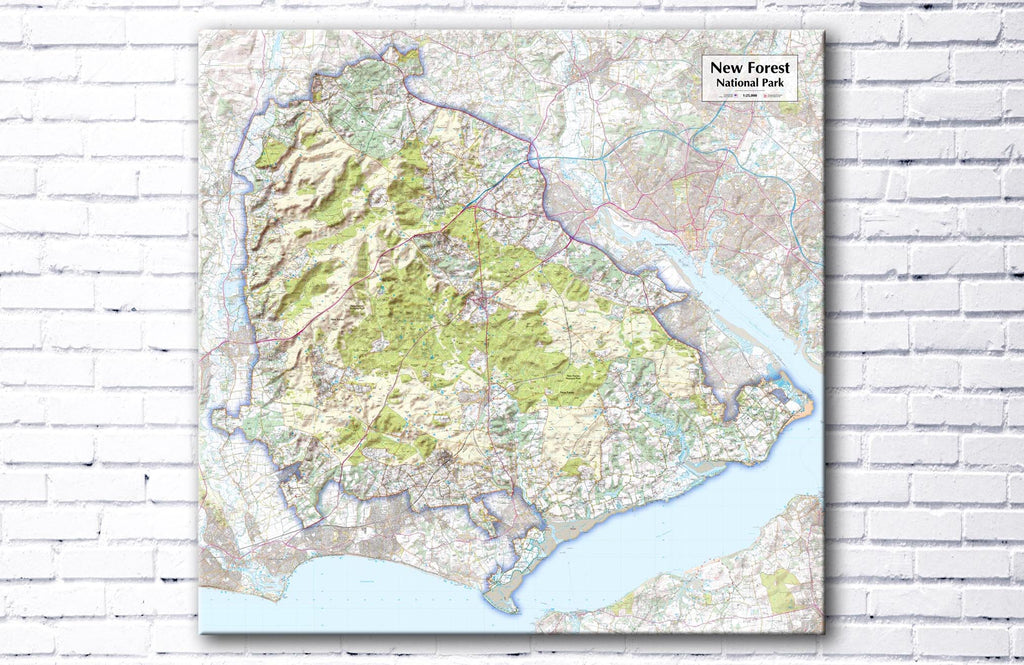 New Forest National Park Map Canvas Print - love maps on...