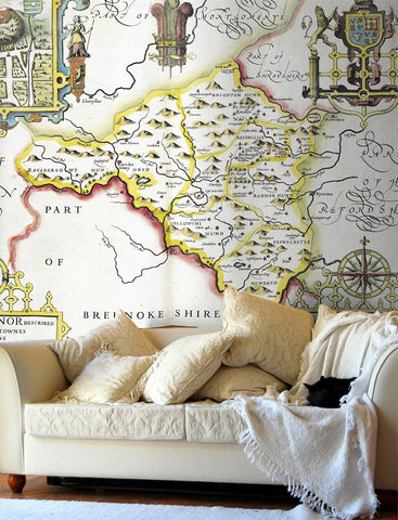 Map Wallpaper - Vintage County Map - Radnorshire