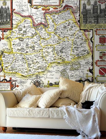 Map Wallpaper - Vintage County Map - Surrey